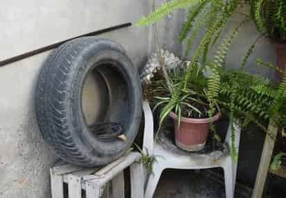 Llaman a las familias a mantener
limpios sus patios de cacharros. (EL SIGLO DE TORREÓN)