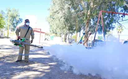 Tras la confirmación de estos primeros casos en 2025, se intensificaron los trabajos de fumigación.