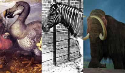5 animales extintos que podrían volver a la vida