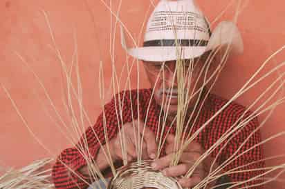 El tejedor del desierto (DANIELA CERVANTES)