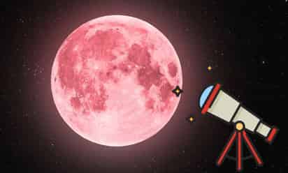 Luna de Flores 2025 (ESPECIAL)
