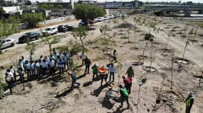 Con la plantación de 100 árboles más, Municipio de Gómez Palacio celebra segundo aniversario del “Bosque Río Nazas”