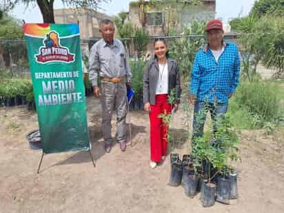 Participa en la campaña de adopción de árboles en San Pedro