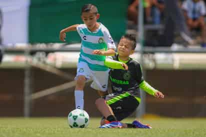 El CEFOR Lala Verde de la categoría 2025 en la modalidad de Futbol 9, marcha invicto en 5 presentaciones y esta mañana en el TSM, se medirá en la semifinal al CEFOR Lala Blanco, en clásico de las inferiores albiverdes. (META)