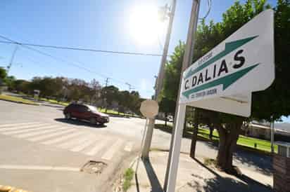 Inconformes, vecinos de Torreón Jardín por cierre de calle Dalias; acusan influyentismo