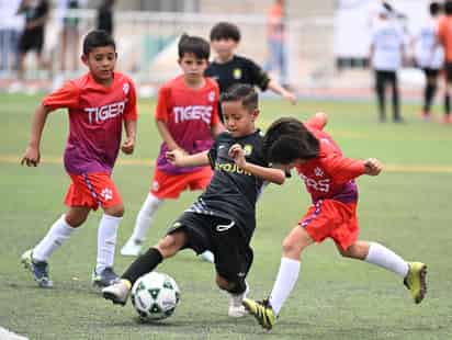 En la categoría 2017, los Tigers del Campestre Torreón y el Centro de Formación Juan Rodríguez (Cefojur) jugaron la final del Torneo B, con triunfo para los primeros por definición de penales.
