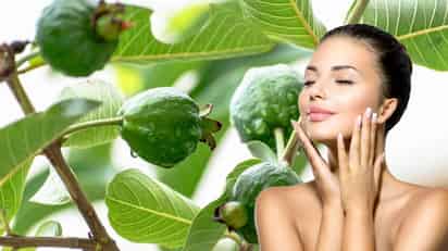 Las hojas de guayaba, con sus propiedades antimicrobianas y antiinflamatorias, pueden ser una opción natural para combatir el acné y mejorar la salud de tu piel.