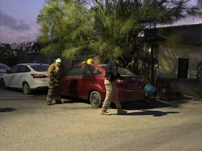 Se registra ataque de abejas en la colonia San Francisco de Monclova