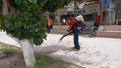 Fumigan plaza principal por festival del Día de las Madres