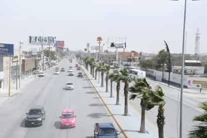 Jorge Luis Juárez Llanas, director de la dependencia, invitó a la ciudadanía a mantener precaución con árboles muy altos.