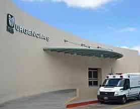 Muere hombres tras caerle encima una rama en Arteaga