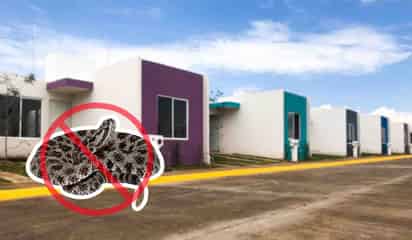 ¿Cuándo aparecen más las víboras de cascabel en México y en qué lugares se esconden?
