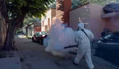 Peñoles promueve acciones de combate al dengue