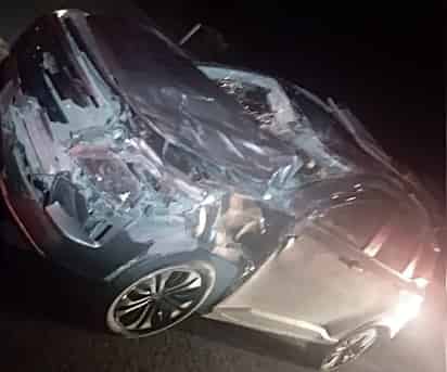 Muere caballo tras ser impactado por una camioneta en la carretera Saltillo-Torreón