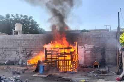 Gobierno de Saltillo denuncia a probable responsable de la muerte de dos cachorros calcinados