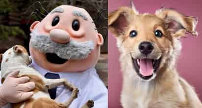 Doctor Simi / Perrito (ESPECIAL)