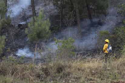 Suman 268 incendios forestales en Durango, sequía y altas temperaturas han elevado riesgo