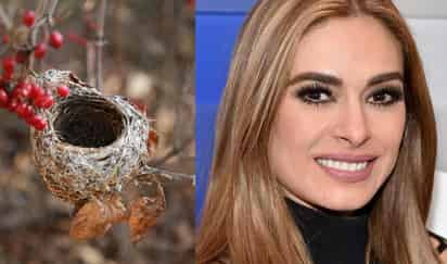 Galilea Montijo / Nido vacío (ESPECIAL)