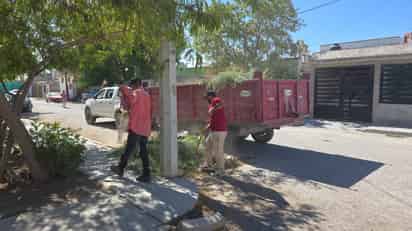 Realizan trabajos de limpieza en plazas públicas de Lerdo