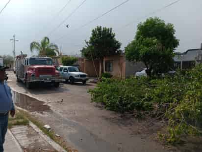 Autoridades de San Pedro reportan daños mínimos por la lluvia de la tarde del miércoles