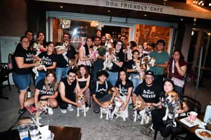 Celebran reunión de beagles en Torreón
