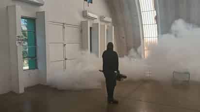 Reportan mosco transmisor del virus del Nilo, ¿en qué colonias de Piedras Negras habrá fumigaciones?