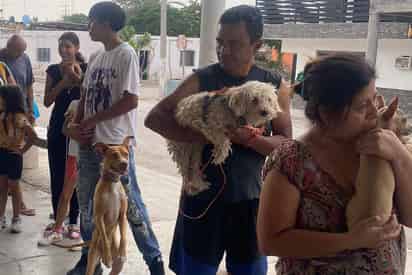 Brigada de Salud. Este viernes 6 de junio se instalarán en el kiosco del corredor de la colonia Las Cruces para ofrecer servicios gratuitos como esterilización, vacunación antirrábica y desparasitación. (FOTOS: CORTESÍA)