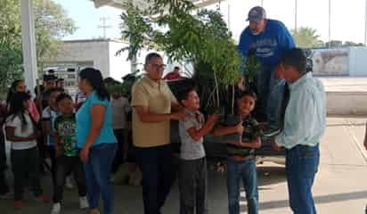 Inicia campaña de reforestación en Lerdo