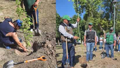 Reforestación en el Bosque Venustiano Carranza de Torreón (ARCHIVO)