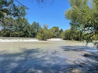 Suman 5 muertos por ahogamiento; Protección Civil llama a no nadar en parajes del Río Nazas