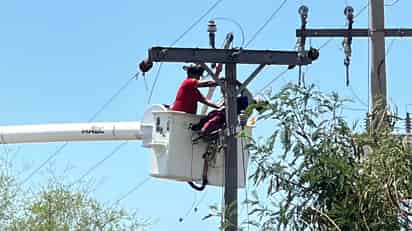 Muere electrocutado en un poste y deja sin luz la zona industrial