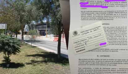 Presentan amparo contra tala de árboles por obra en Torreón