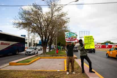 Detiene tala de árboles en el bulevar Independencia; revaluarán posible trasplante