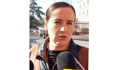 Piden acciones inmediatas desde el Congreso para reactivar exportación de ganado