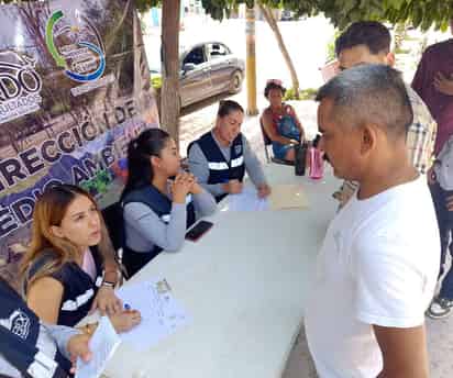 Este martes será la próxima jornada de donación de árboles en Lerdo