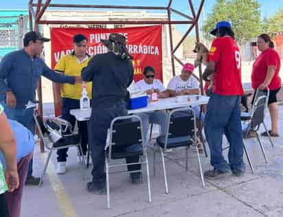 Acuden a ejido Santa Brígida para realizar campaña de vacunación y desparasitación canina