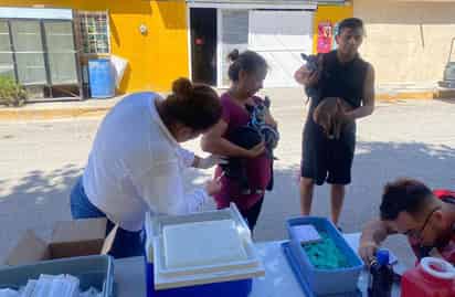 Hoy acudirán a la plaza de la comunidad El Rayo; mañana habrá brigada en plaza de Sapioriz. (EL SIGLO DE TORREÓN)