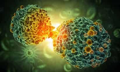 El 50% de las muertes por cáncer se atribuyen a factores de riesgo que se pueden evitar