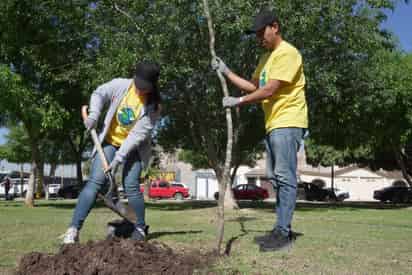 Ciudadanía y gobierno siembran futuro verde con más de 2,500 árboles plantados en 2025 en Torreón