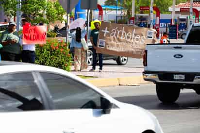 Ante tala de de árboles del bulevar Independencia deben existir medidas de compensación: Experto