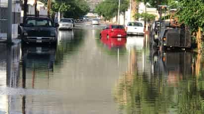 Atienden reportes de encharcamientos y árboles caídos por lluvias en Torreón