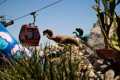 Torreón se apunta al verano: esperan más de 75 mil visitantes y derrama millonaria