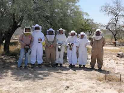 Invitan a curso básico de Apicultura en FCB de UJED de Gómez Palacio