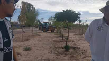 Preparan reforestación del Bosque Río Nazas con motivo del Día del Árbol en Gómez Palacio