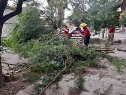 En Gómez Palacio Protección Civil no registró afectaciones graves por lluvias