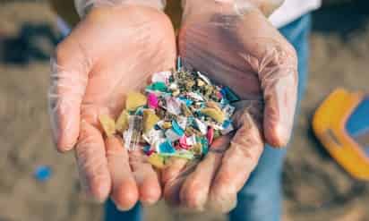Los microplásticos se encuentran ya en los fluidos reproductivos humanos
