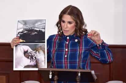 Celebran reapertura de frontera para exportar ganado mexicano a Estados Unidos