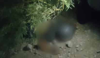 Motociclista pierde la vida al derrapar en la carretera federal de San Pedro