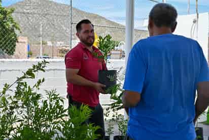 La campaña busca fomentar la cultura ambiental entre la ciudadanía lerdense, al comprometerse a adoptar y cuidar un árbol.