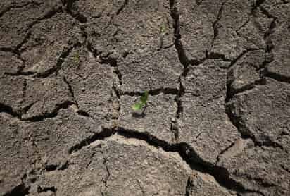 Sequía persiste en Coahuila y Durango pese a lluvias recientes